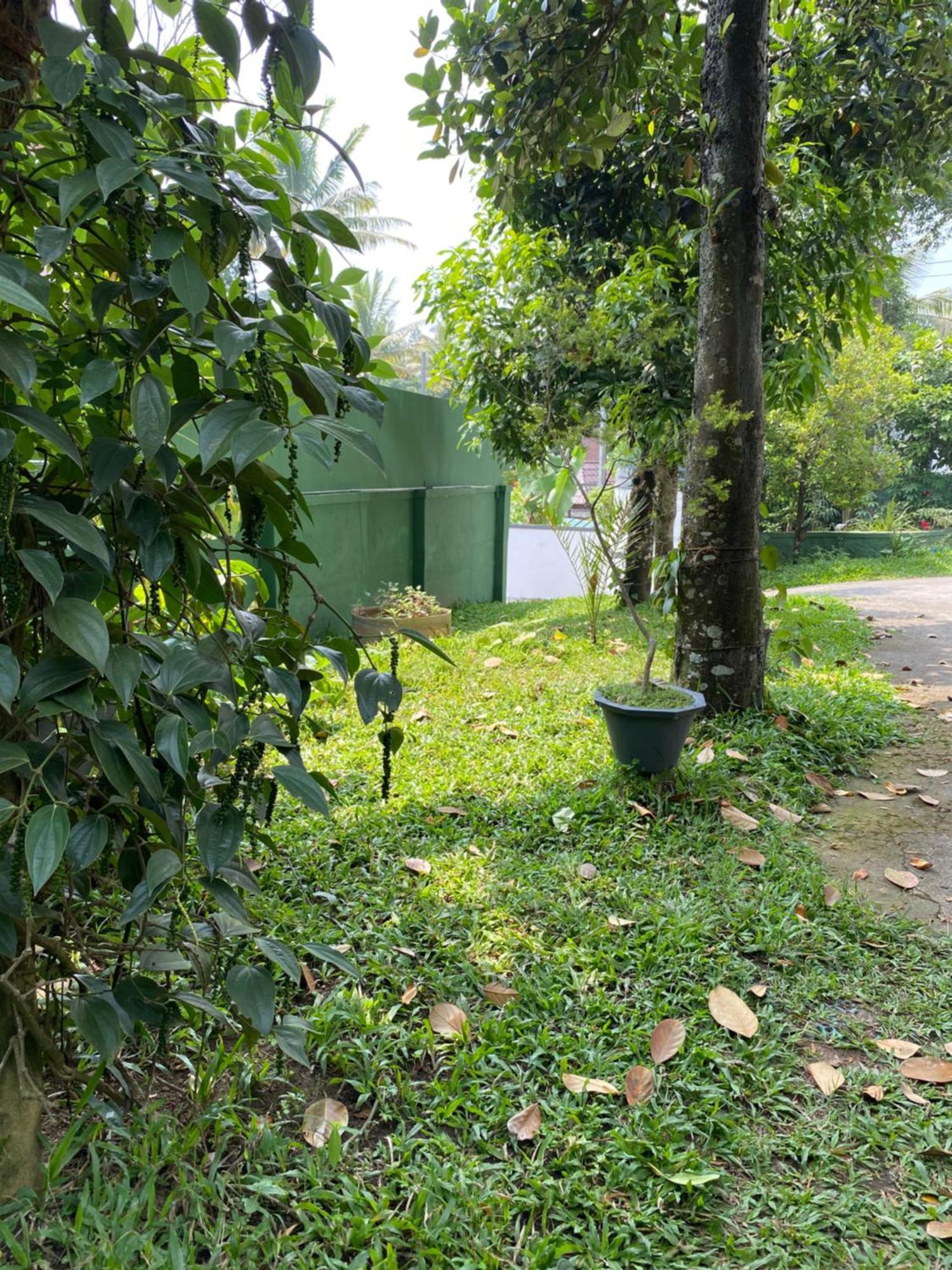 Tranquilou Homestay Thekkady Extérieur photo